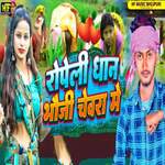 Ropeli Dhan Bhauji Chewara Me