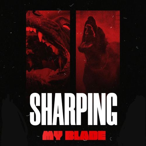 Sharping My Blade