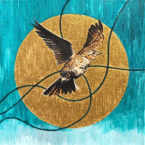 Cling to what we know cover art