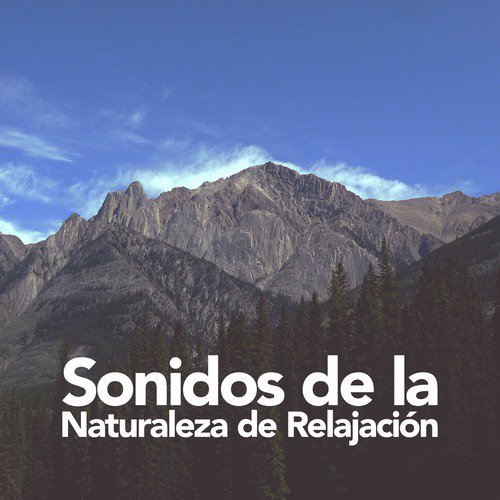 Riverside Peace cover art