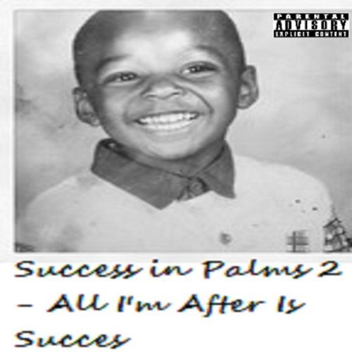 Success in Palms 2 - All I'm After Is Success Intro