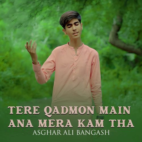 Tere Qadmon Main Ana Mera Kam Tha