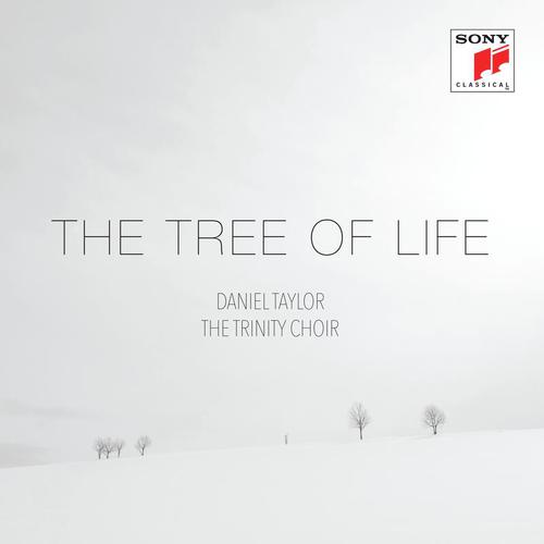 The Tree of Life_poster_image