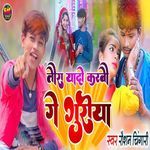 Tora Yado Karbo Ge Gudiya