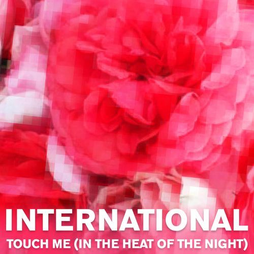 Touch Me (In The Heat of The Night) (feat Midsummer Ex) (Maxi Mix)