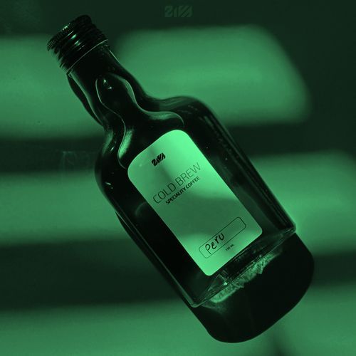 ZIVA (Extended Mix) cover art