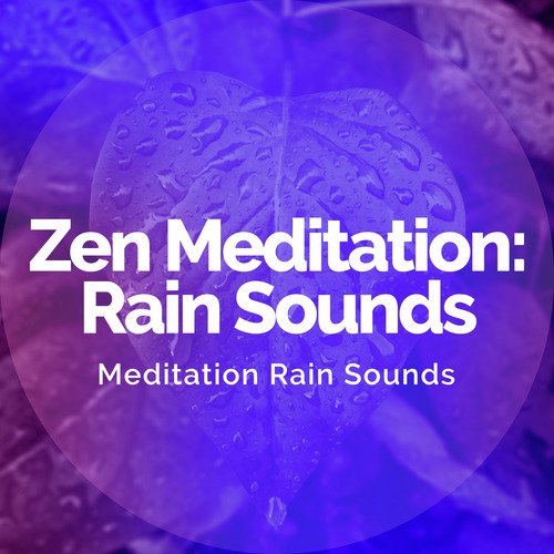 Meditation Rain Sounds cover art