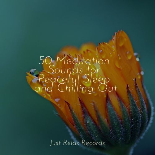 50 Meditation Sounds for Peaceful Sleep and Chilling Out_poster_image