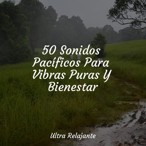 50 Sonidos Pacíficos Para Vibras Puras Y Bienestar