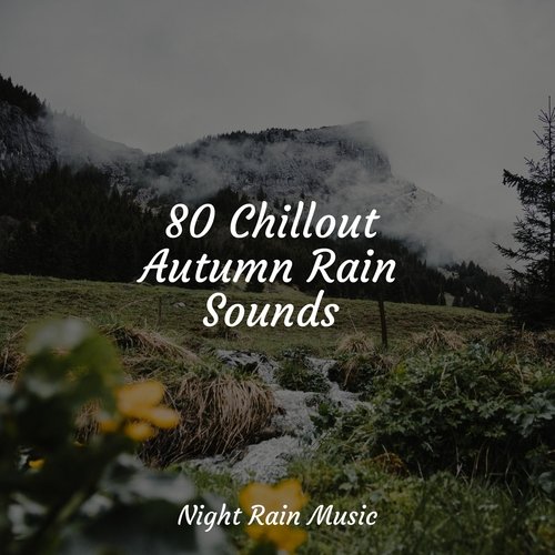 Rain, Storm and Thunder cover art