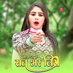 भाड़ी उठा के रात भर लिये