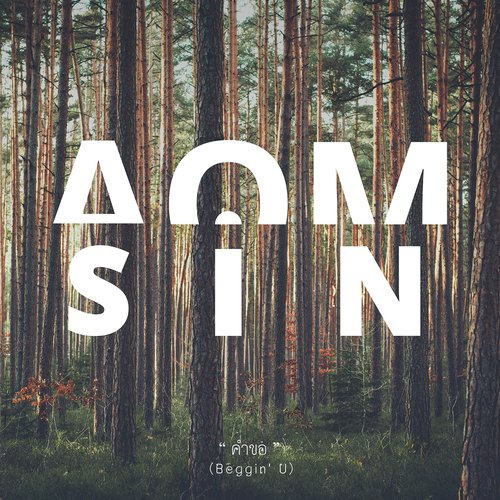 Aomsin