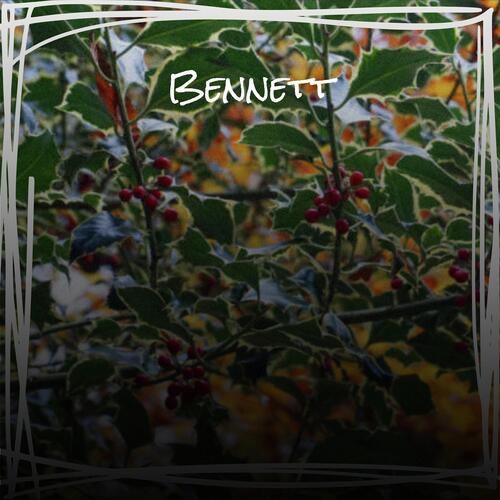 Bennett cover art