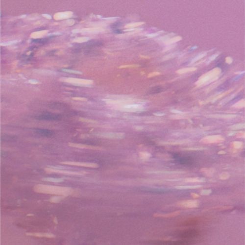 Blooming (Robot Koch Remix) cover art
