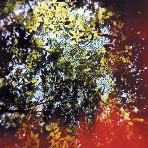 In The Mud cover art