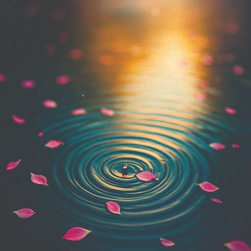 Clear Bamboo Water Sounds & Pink Lotus cover art
