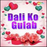 Silgadhi Ka