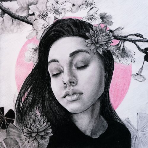 Зендудл cover art