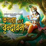 KANHA BASE HAIN VIRINDAVAN