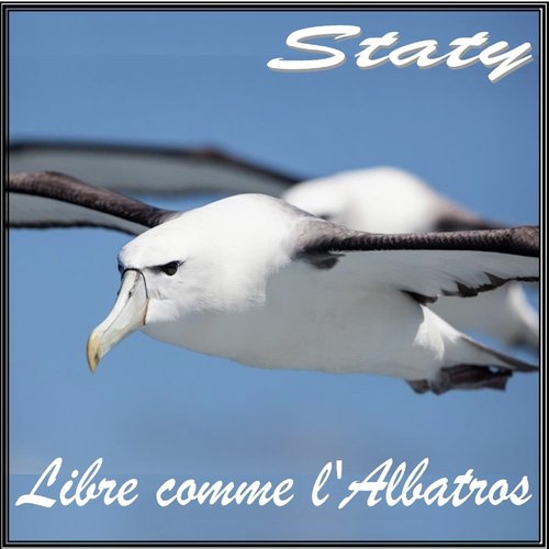 Libre comme l&#039;albatros_poster_image