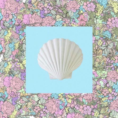Salomon cover art