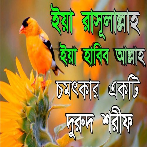 ইয়া রাসূলাল্লাহ ইয়া হাবিব আল্লাহ চমৎকার দুরুদ শরীফ