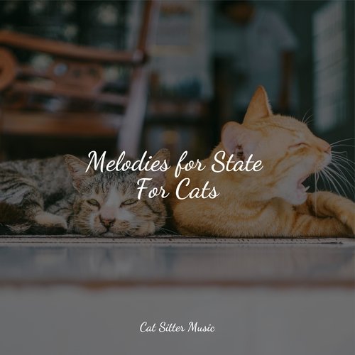 Melodies for State For Cats_poster_image