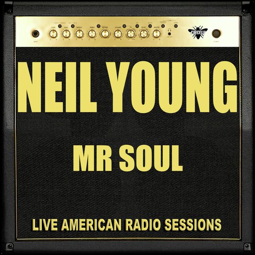 Mr Soul (Live)