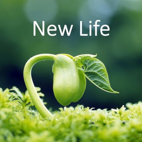 New life_poster_image