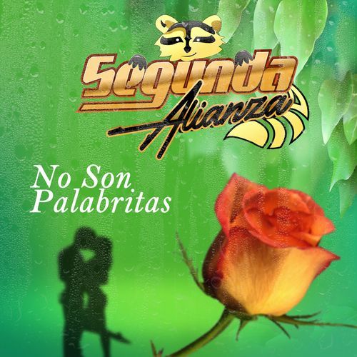 Déjenme Si Estoy Llorando