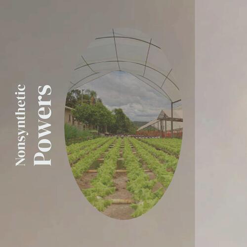 Soloists cover art