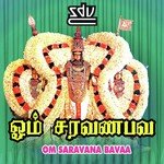Maiyooradhi