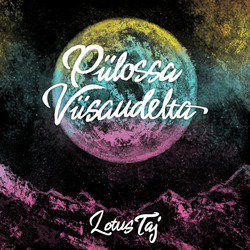 Piilossa Viisaudelta