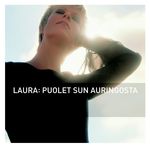 En mielestäin sua saa