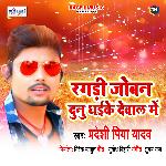 Ragdi Joban Dunu Dhaike Dewal Mein