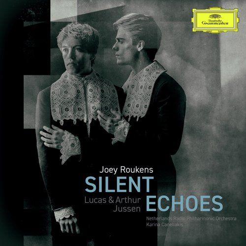 Roukens: Silent Echoes_poster_image