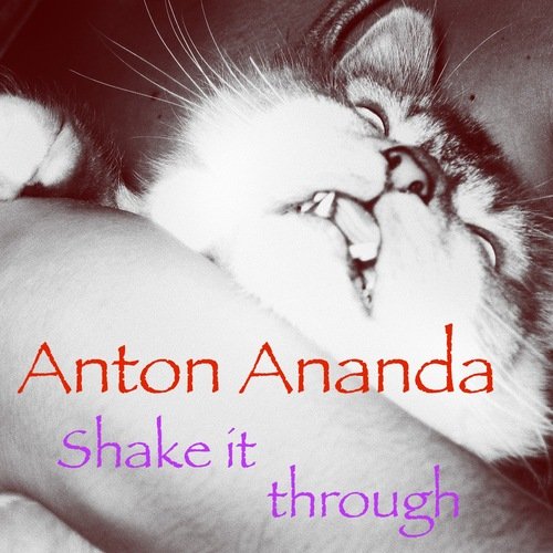 Shake it Through cover art