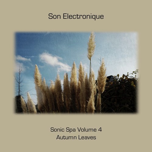 Sonic Spa, Vol. 4 - Autumn Leaves