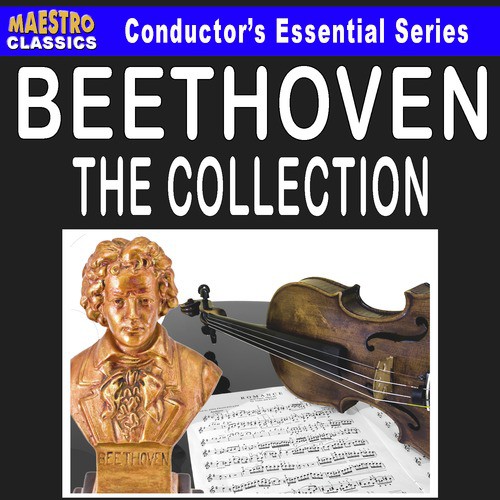 Piano Concerto No. 1 in C Major, Op. 15: I. Allegro con brio