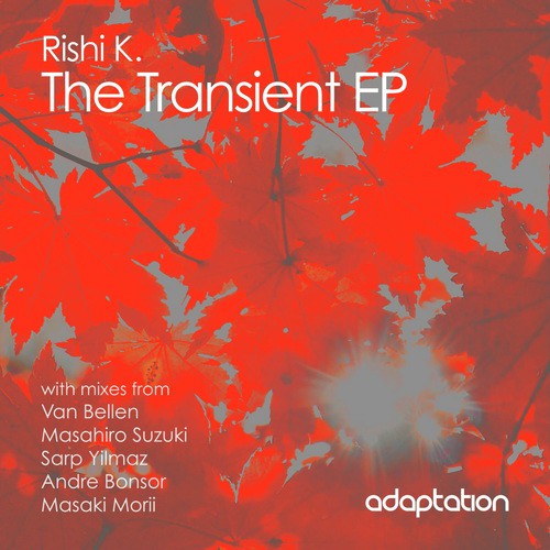 Transient Day (Masahiro Suzuki Remix) cover art