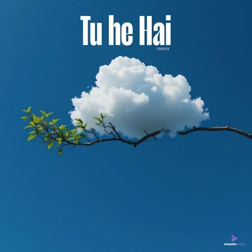 Tu he hai