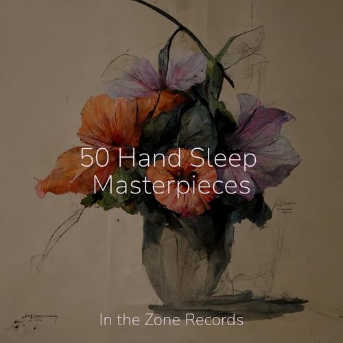 50 Hand Sleep Masterpieces_poster_image