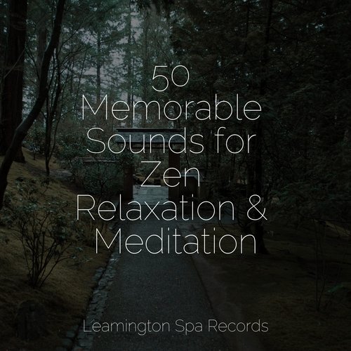 50 Memorable Sounds for Zen Relaxation & Meditation