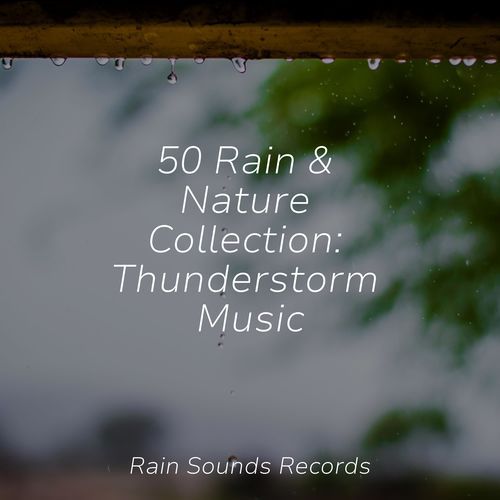 50 Rain & Nature Collection: Thunderstorm Music