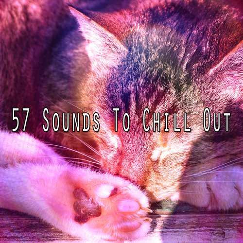 57 Sounds to Chill Out_poster_image