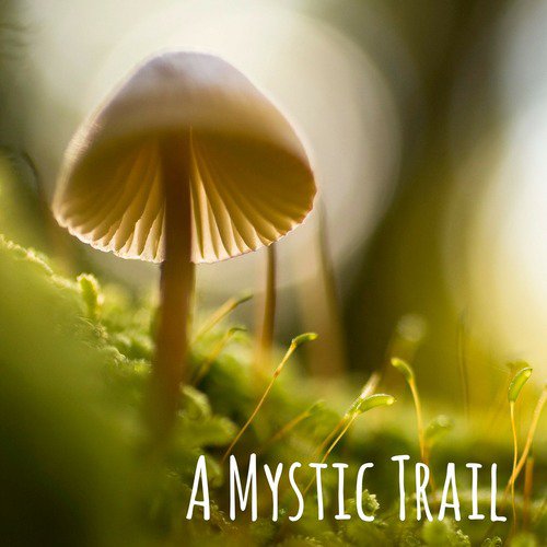 A Mystic Trail
