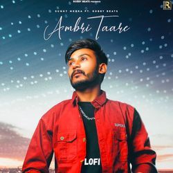 Ambri Taare Lofi
