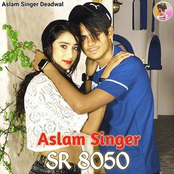 Aslam Singer SR 8050-AyMRYRx1eEU