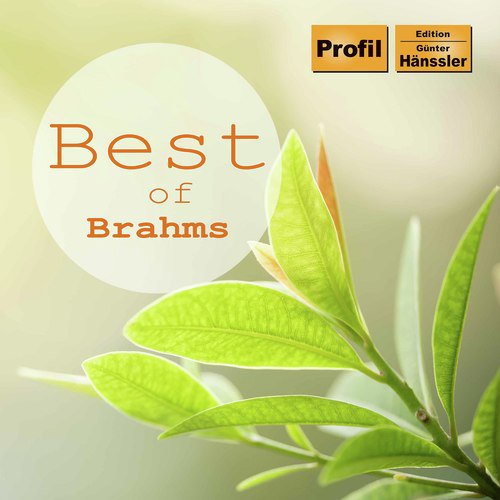 Best of Brahms