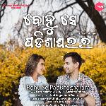Bohu Se Padishagharara